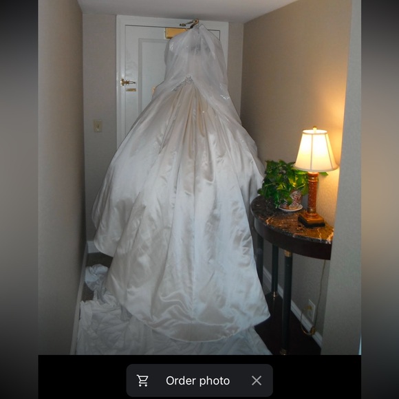 Pnina Tornai Wedding dress - Picture 7 of 11